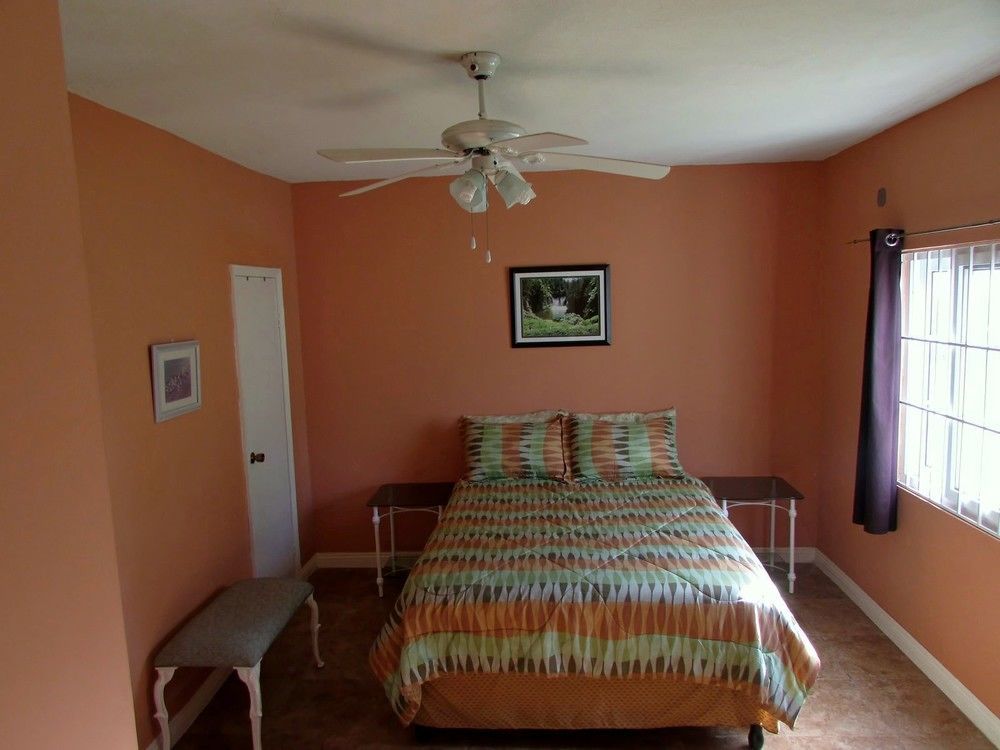 Centrally Located Guest Apartments Kingston Bagian luar foto