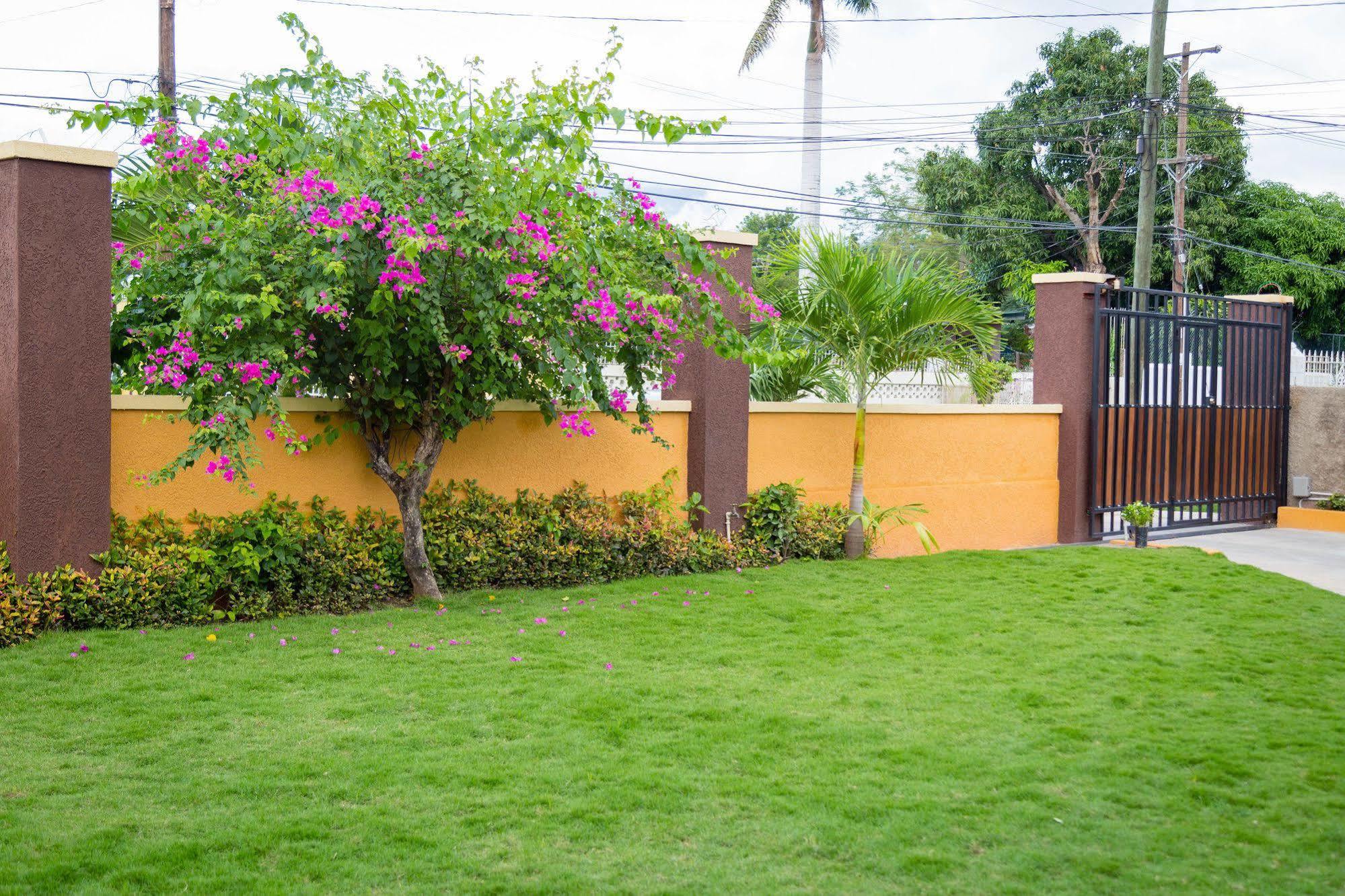 Centrally Located Guest Apartments Kingston Bagian luar foto
