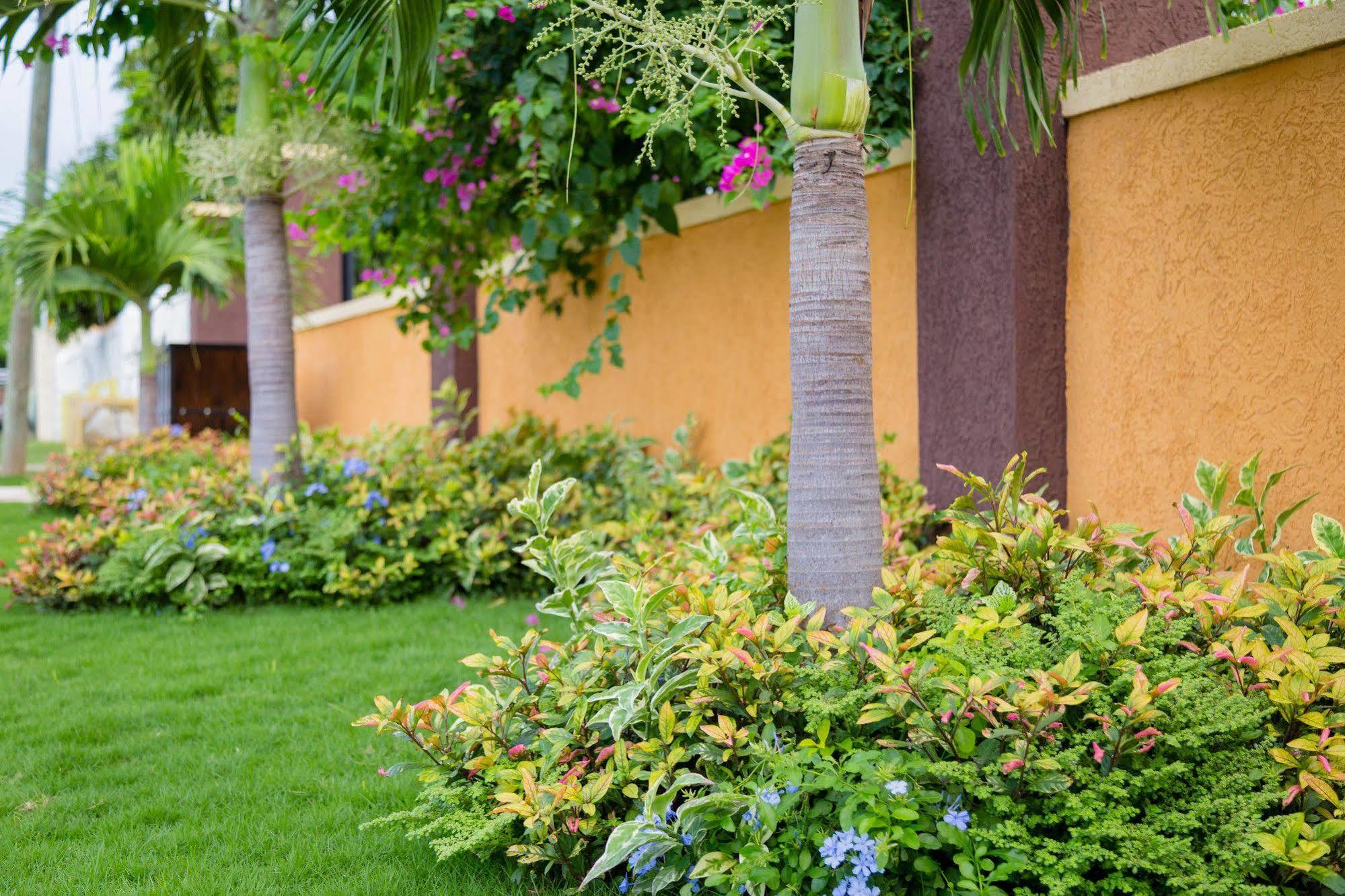 Centrally Located Guest Apartments Kingston Bagian luar foto