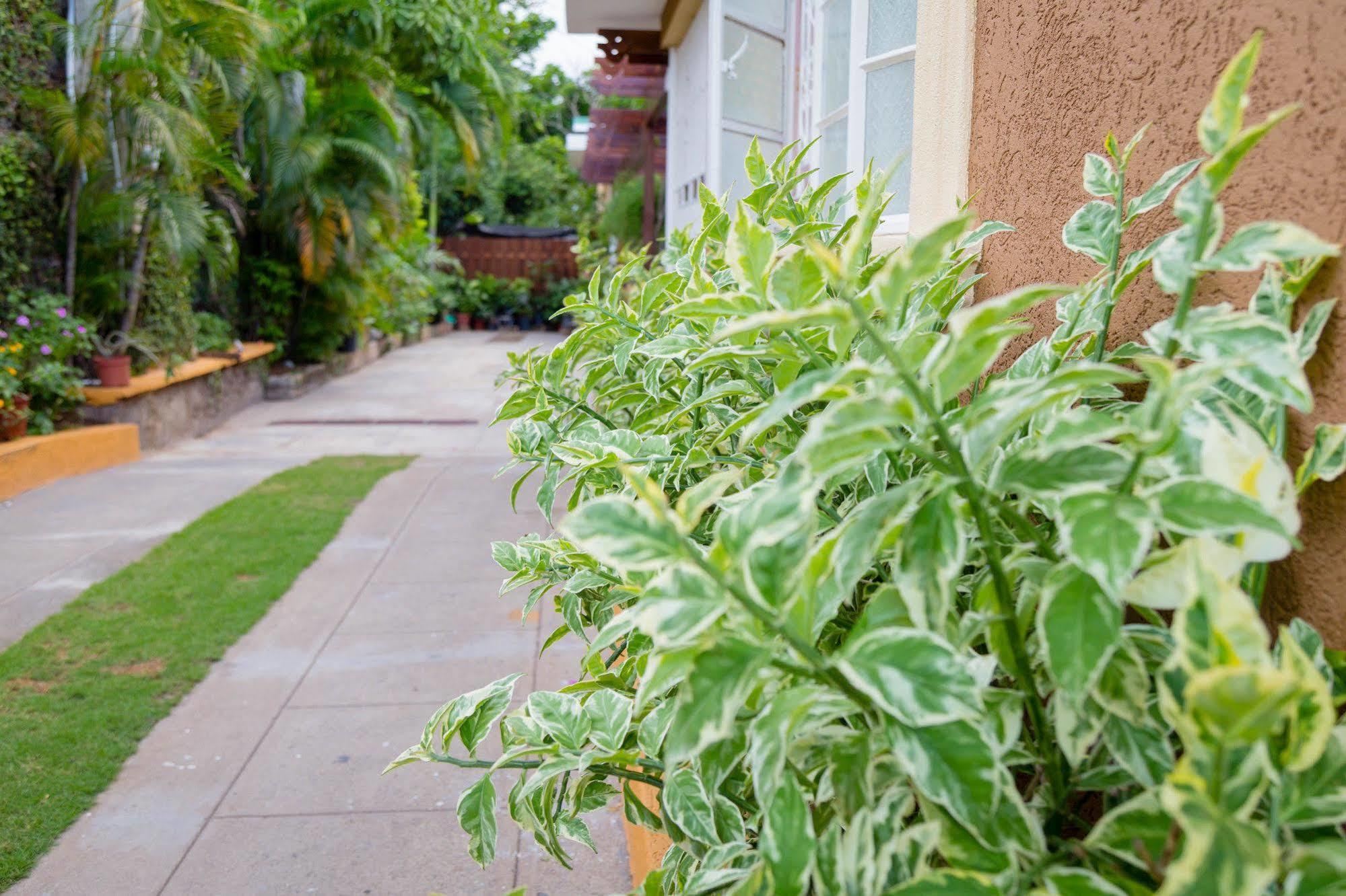 Centrally Located Guest Apartments Kingston Bagian luar foto