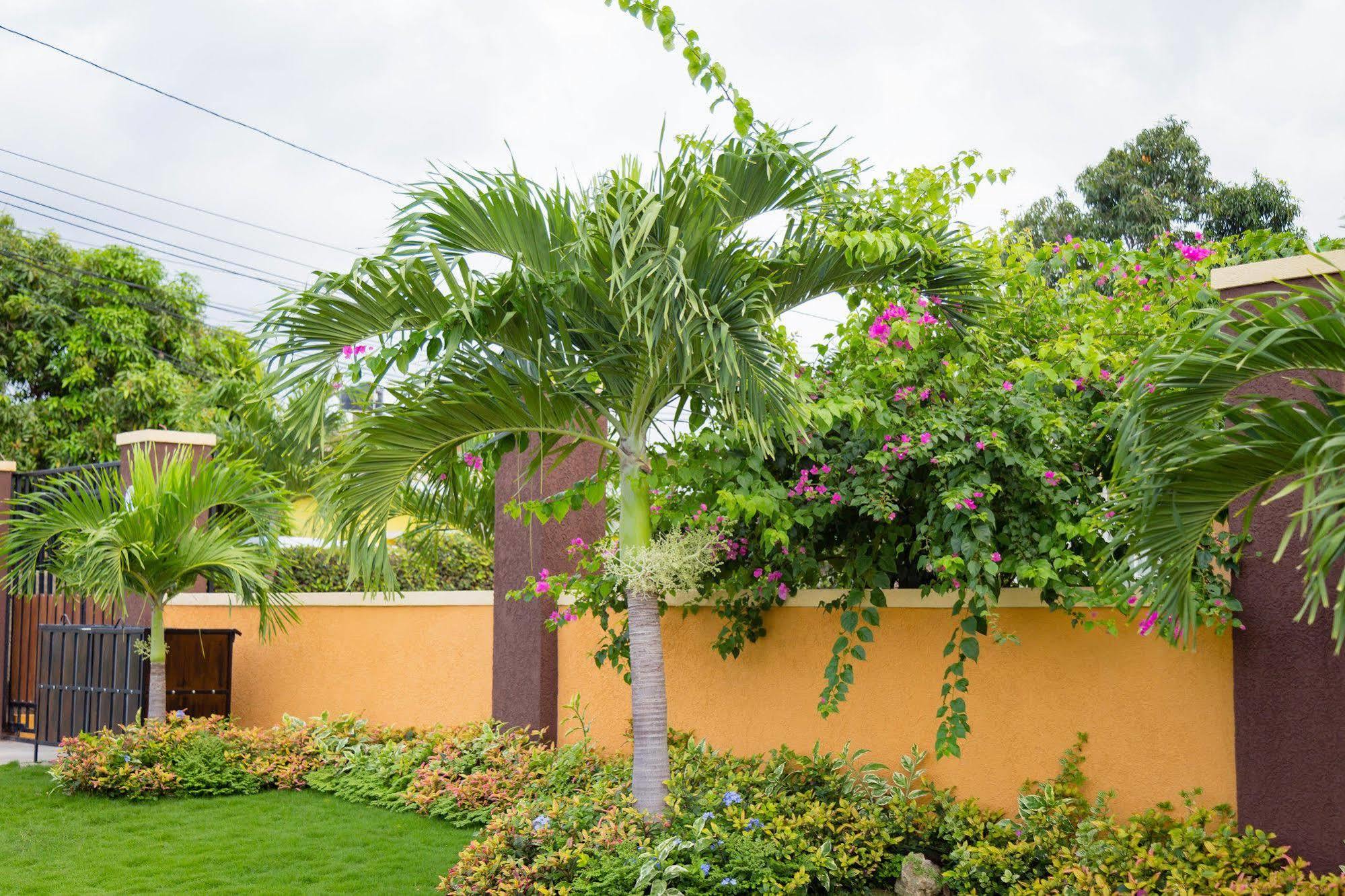 Centrally Located Guest Apartments Kingston Bagian luar foto